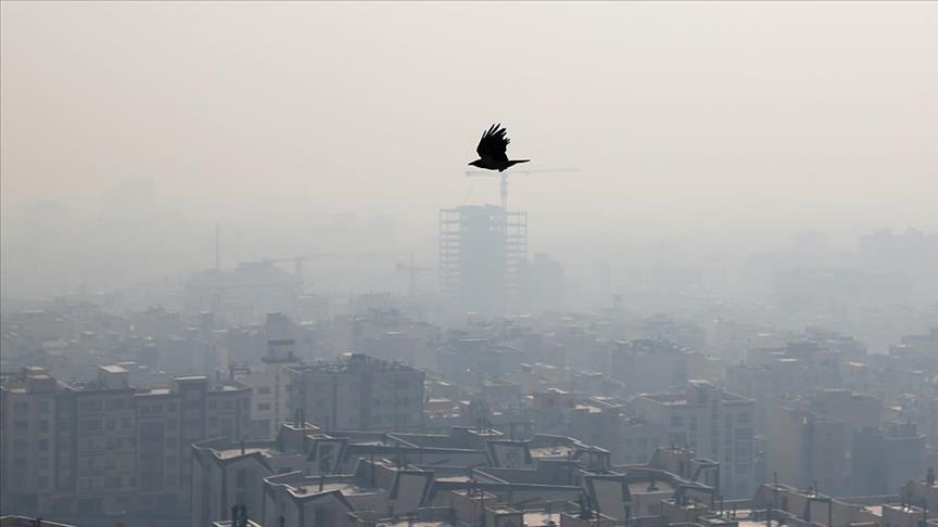 تاثیرات آلودگی هوا بر انسان